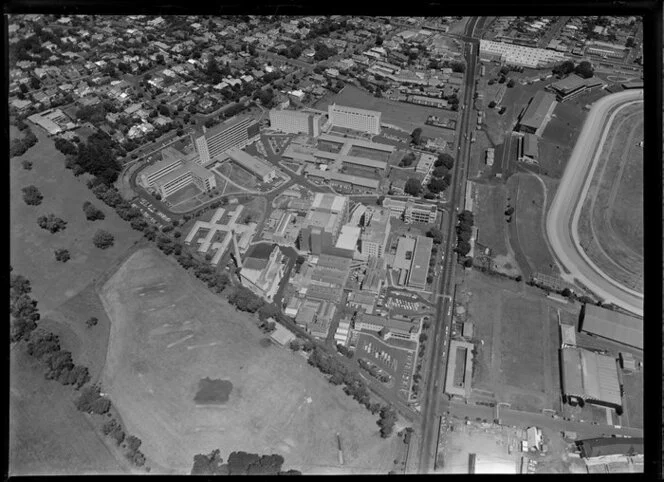 National Women's Hospital, Greenlane, Auckland