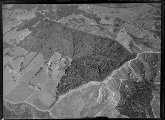 Ararimu Valley, Riverhead Forest, Rodney district, Auckland