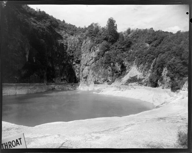 Waimungu Thermal Pool, Rotorua