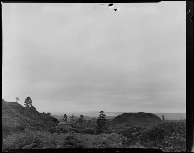 Cape Foulwind, West Coast