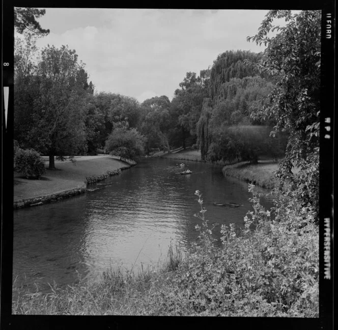 Avon River, Christchurch