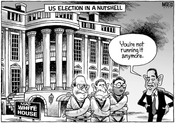 'US election in a nutshell.' "You're not running it anymore." 'Mad house.' 7 November, 2008.