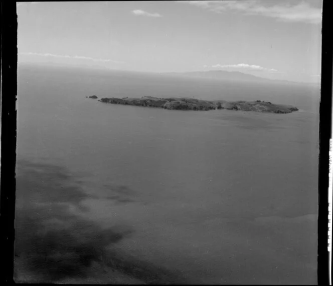 Tiritiri Matangi Island, Hauraki Gulf