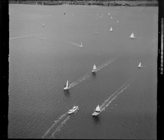 A yacht race on the Waitemata Harbour, Auckland Regatta event