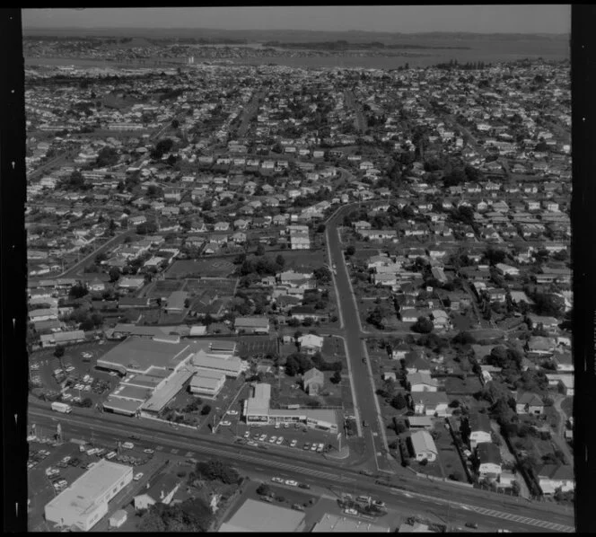 Ellerslie and One Tree Hill, Auckland