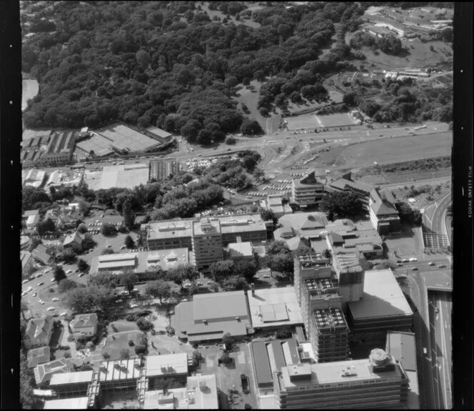 University of Auckland, Auckland