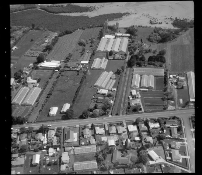 Bartons horticultural land, with glasshouses, Favona, Mangere, Auckland