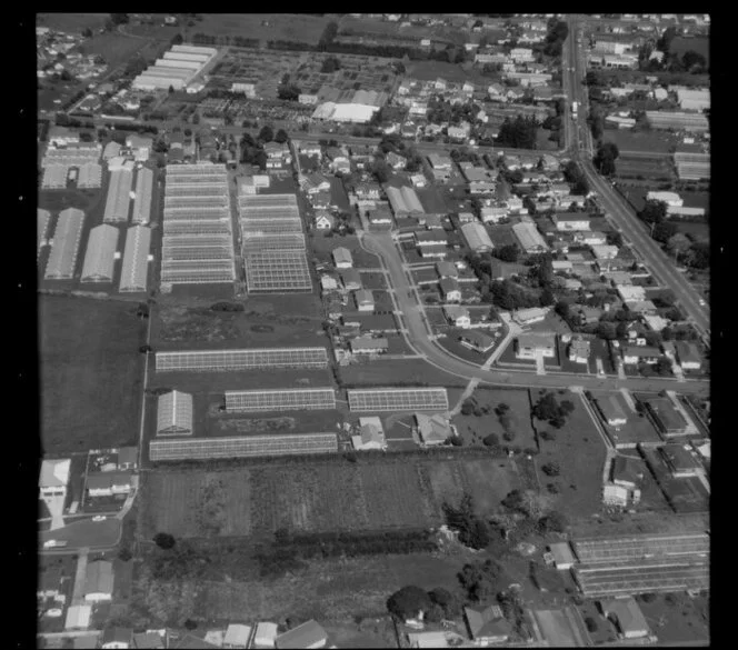 Horticultural land in Favona, Mangere, Auckland