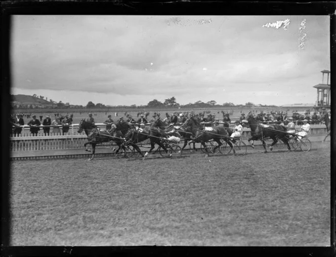 Trotting, Auckland