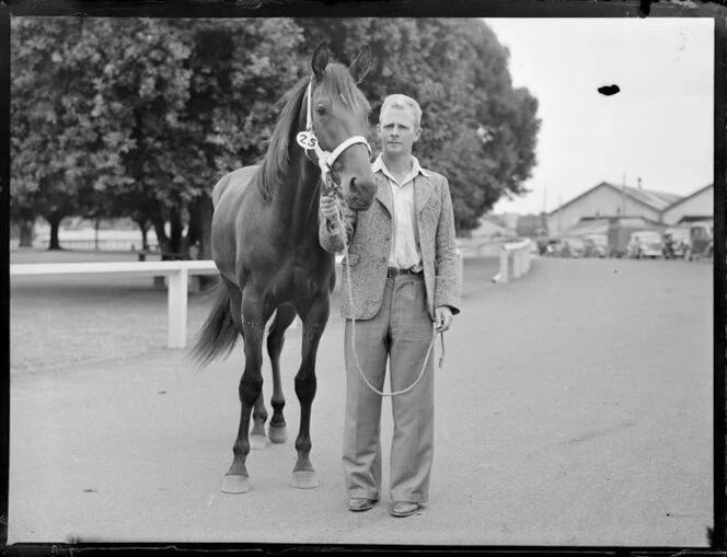 Horse auctions, Alexandra Park, Auckland