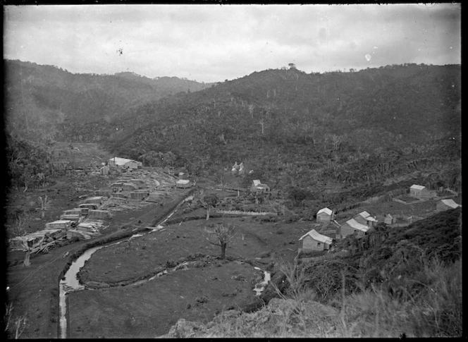 Timber settlement, Piha