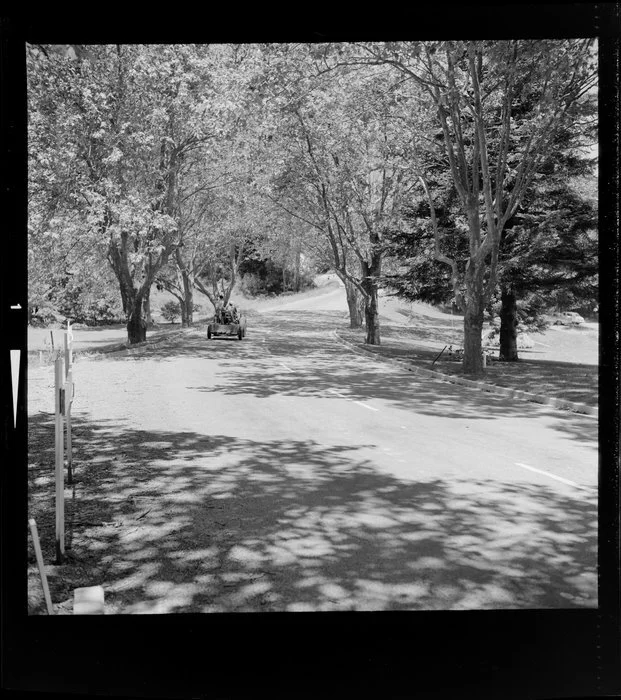 View of the drive, Massey University, Palmerston North