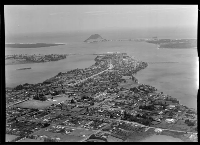 Tauranga