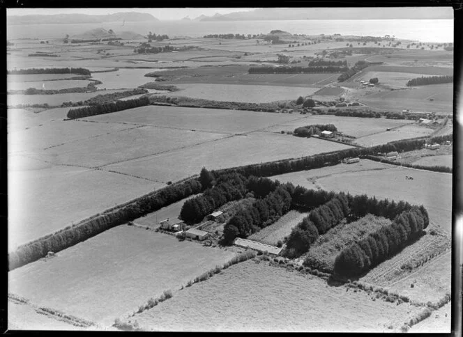 Farm, Mangere, Auckland