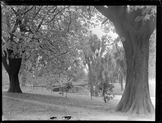 Avon River, Christchurch