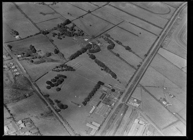 Site of proposed trotting track, Pukekohe, Auckland