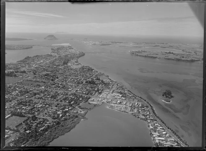 Tauranga