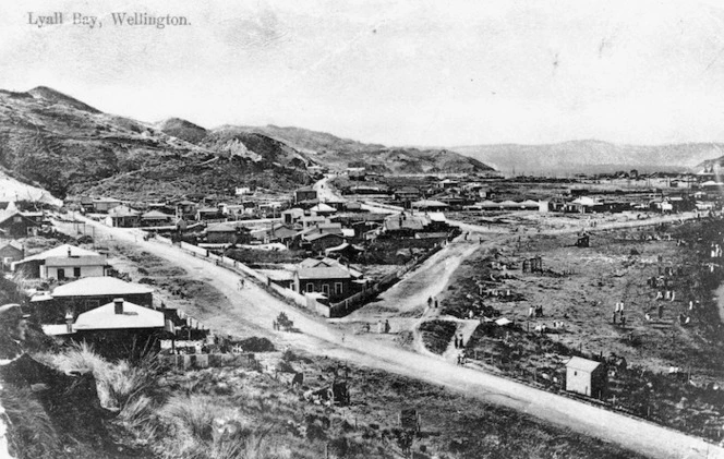 Lyall Bay, Wellington