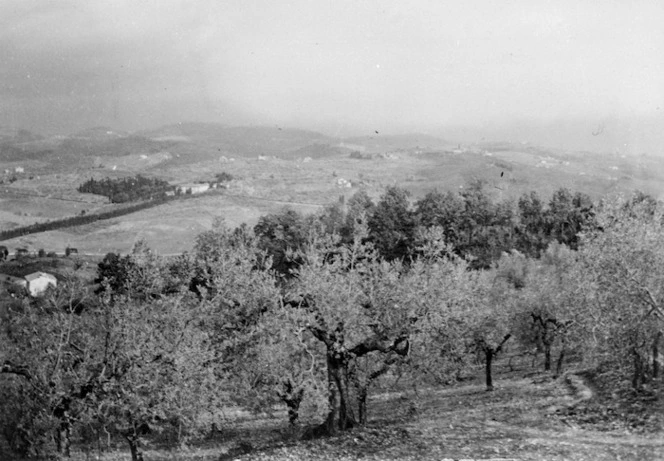 A view of an area taken from no 16 Pl position by the 22nd Battalion showing a monastery at the end of the line of cypress trees with La Romola to the right