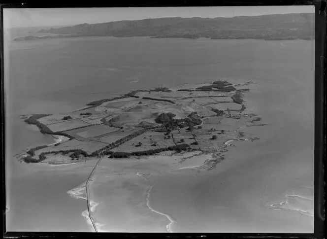 Puketutu Island, Manukau Harbour, Auckland Region