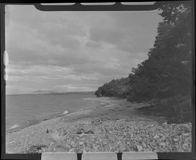 Gravel beach lined with trees, Lake Ohau, Waitaki County