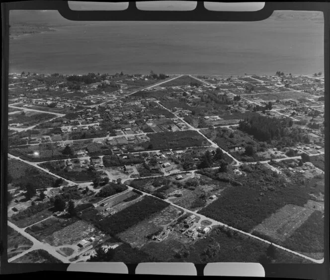 Taupo, showing housing and Lake