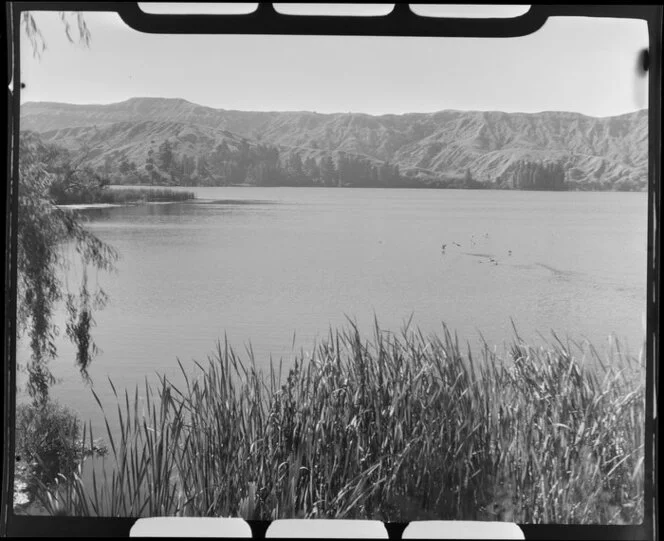 Lake Tutira, Hawke's Bay, showing birds on the lake