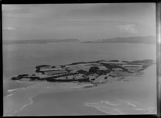 Puketutu Island, Manukau Harbour, Auckland