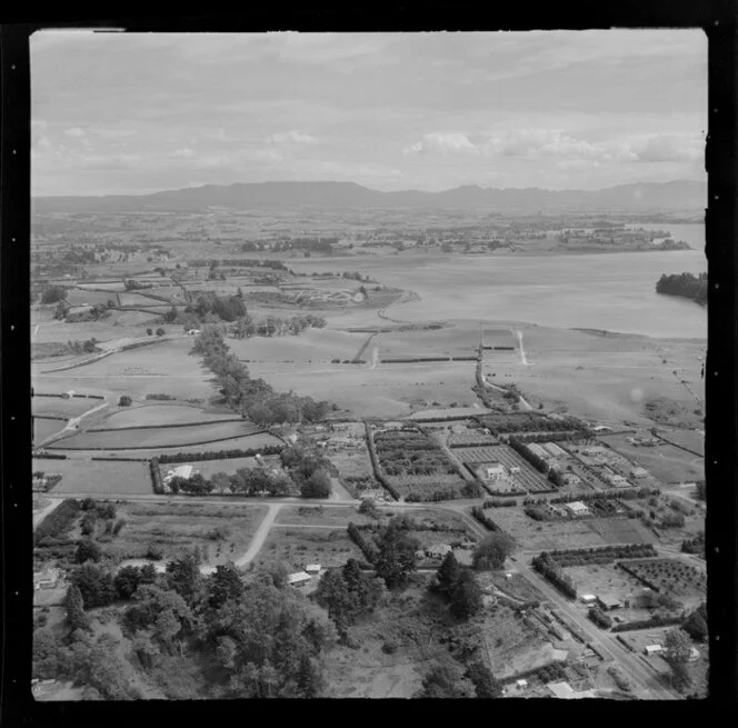 Orchards at Otumoetai, Tauranga