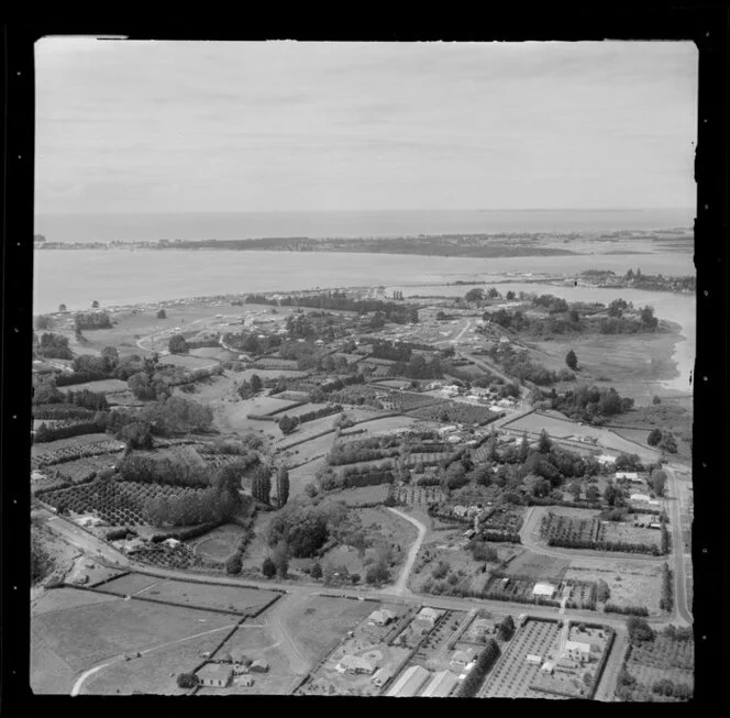 Orchards at Otumoetai, Tauranga