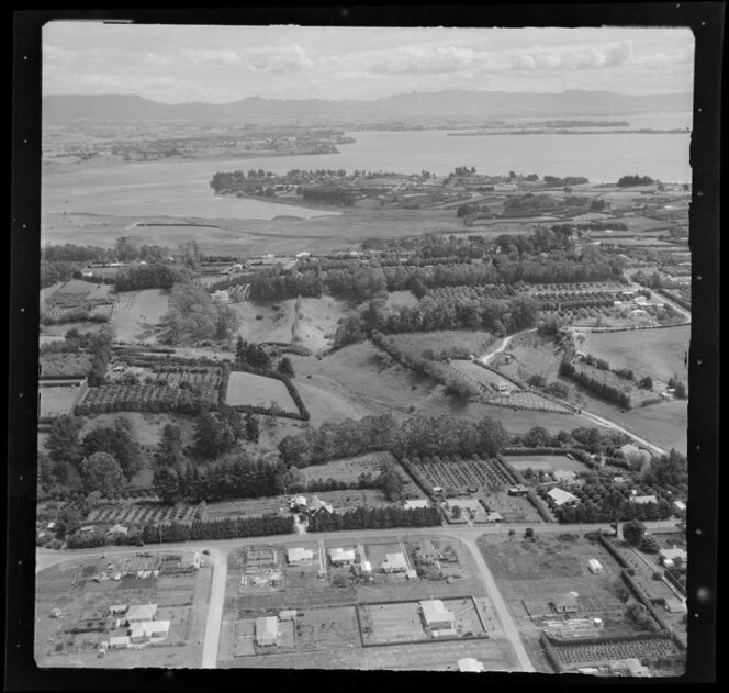 Orchards at Otumoetai, Tauranga