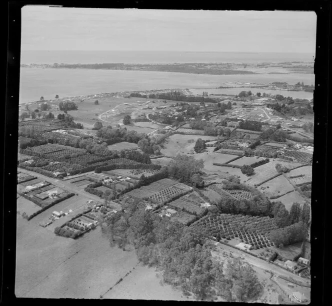 Orchards at Otumoetai, Tauranga