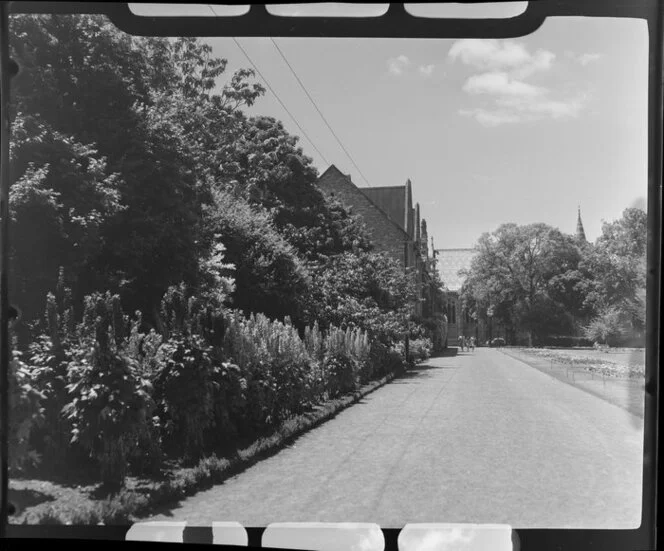 A view of Christs College from the Botanic Gardens, Christchurch