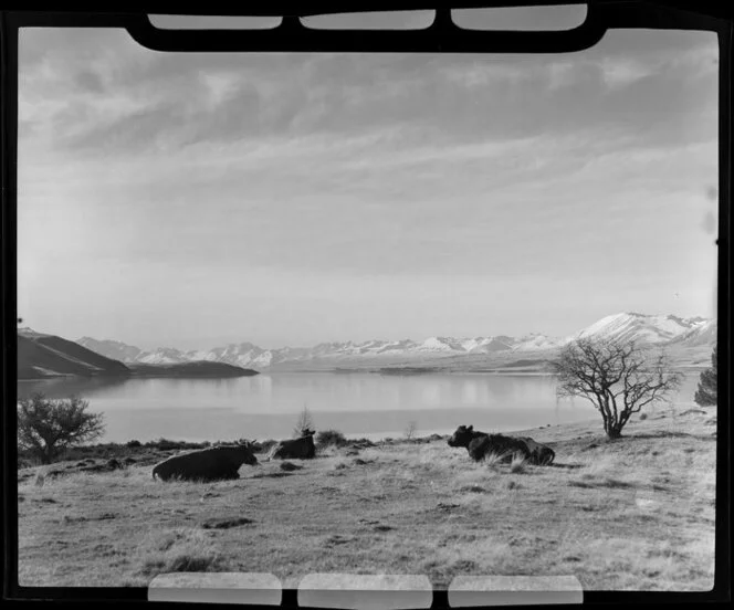 Lake Tekapo