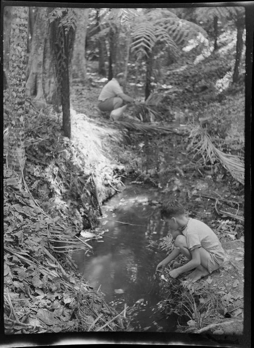 Unidentified boy and man by the stream, Maraetai, Auckland