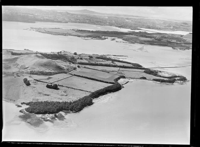 Puketutu Island, Manukau Harbour, with Auckland City in the background