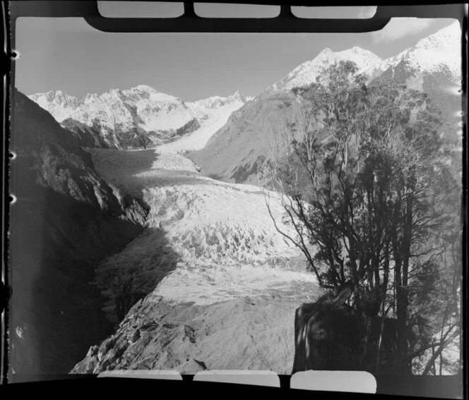 Fox Glacier, West Coast Region, from Cone Rock