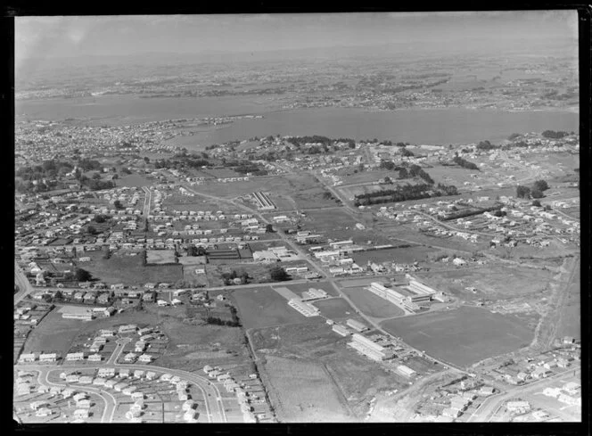 Carr Rd, Mt Roskill with Mt Roskill Grammar, Mt Roskill Intermediate and Mt Roskill Primary School, Auckland