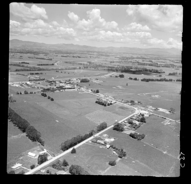 Near Ngatea township, Hauraki Plains, Thames, Waikato