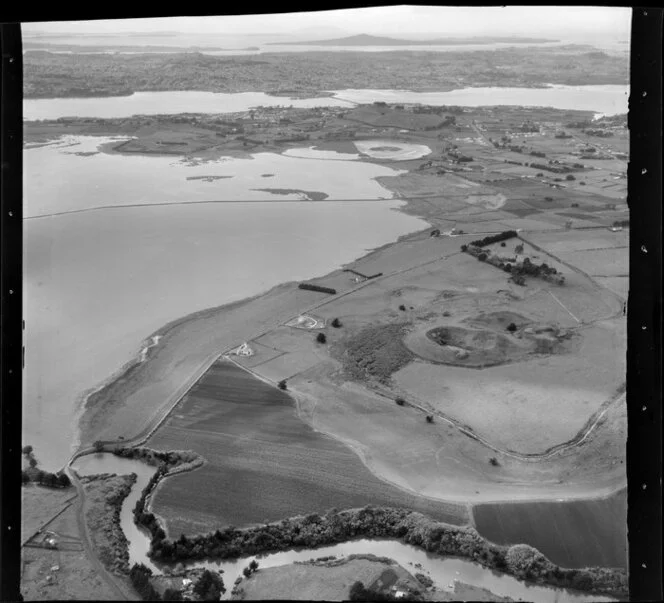 Ascot farm, E I and A F Copsey Ltd, Manukau Harbour