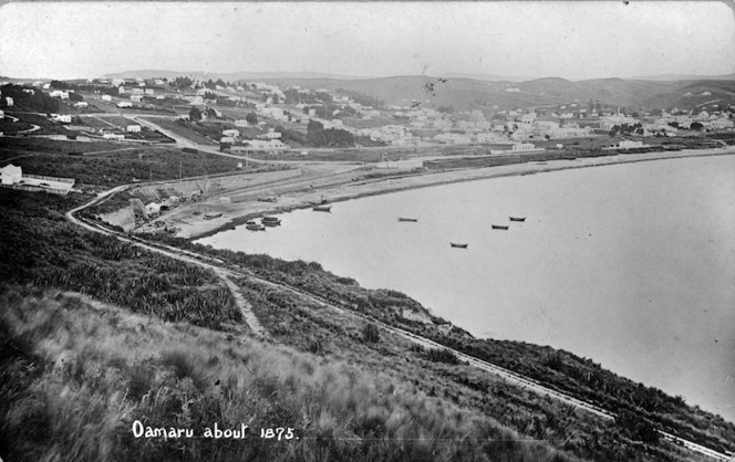 Overlooking Oamaru and the coastline