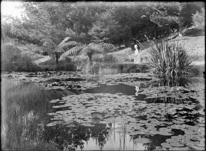 Pond with waterlilies and flax