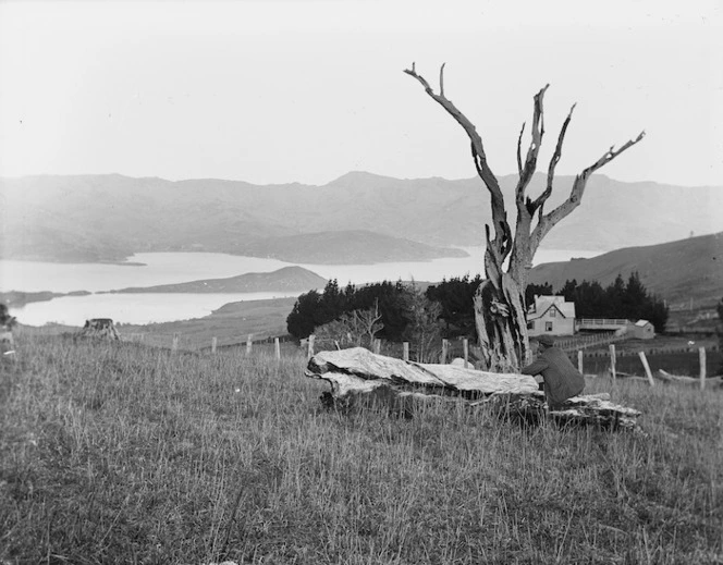 View overlooking the Hilltop Hotel in Akaroa