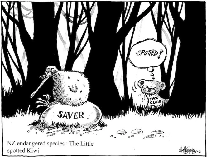 NZ endangered species - the little spotted Kiwi. 8 October, 2008.