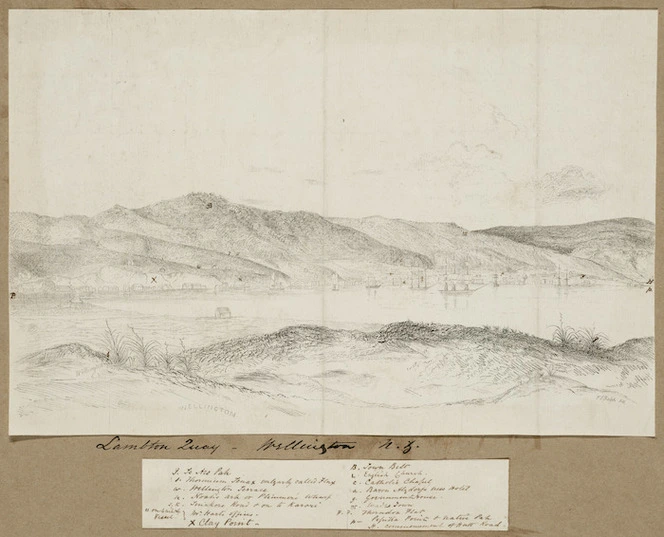 Norman, Edmund, 1820-1875 :[Wellington, 1852. T. S. Ralph del after Edmund Norman. Wellington, 1852]