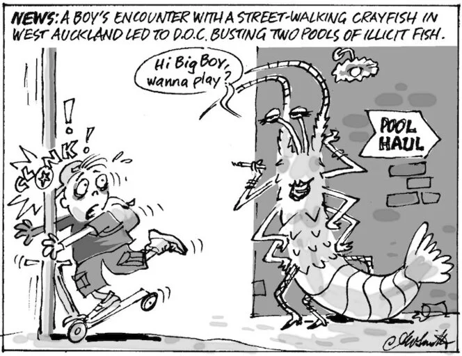 News. A boy's encounter with a street-walking crayfish in West Auckland led to D.O.C. busting two pools of illicit fish. "Hi Big Boy, wanna play?" 30 March, 2005