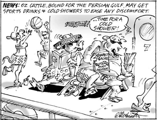 News. OZ cattle, bound for the Persian Gulf, may get sports drinks & cold showers to ease any discomfort. "Struth! ...time for a cold shower!" 25 August, 2004