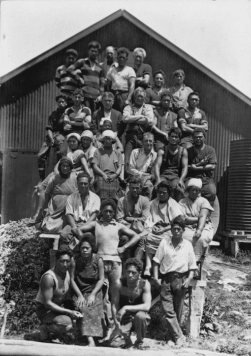 Unidentified sheepfarm workers, East Coast