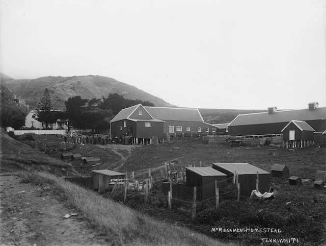 The McMenamen homestead, Terawhiti, during the search for survivors from the Penguin