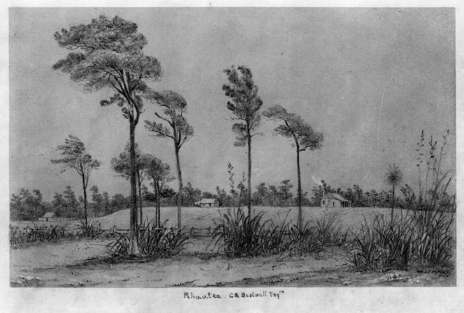 [Smith, William Mein] 1799-1869 :Pihautea. C.R. Bidwill Esqre. [1849 or later]